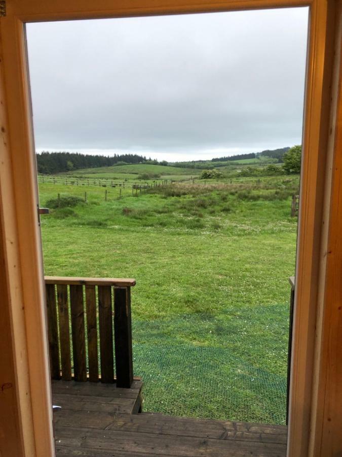 ホテルClydesdale Shepherds Hut ベルファスト エクステリア 写真