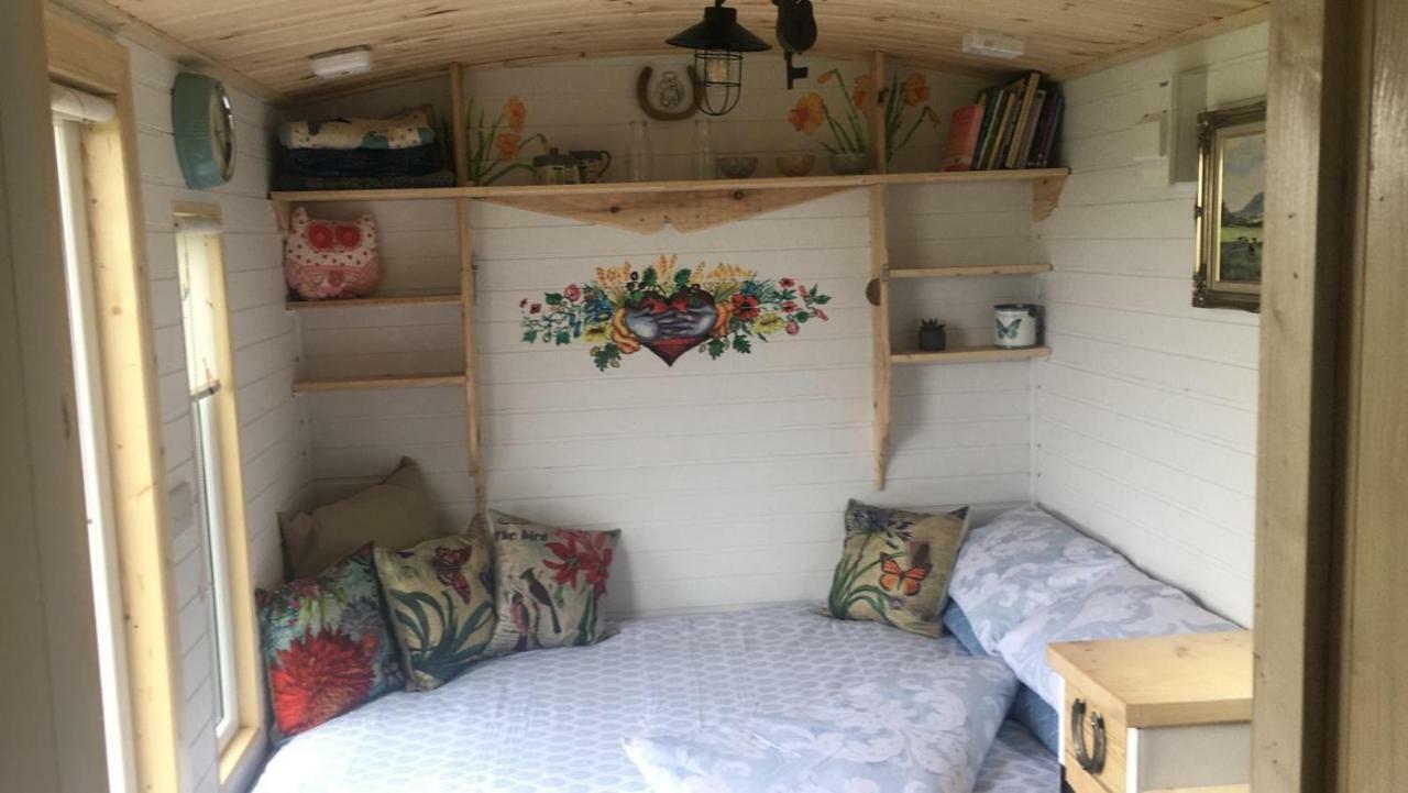 ホテルClydesdale Shepherds Hut ベルファスト エクステリア 写真